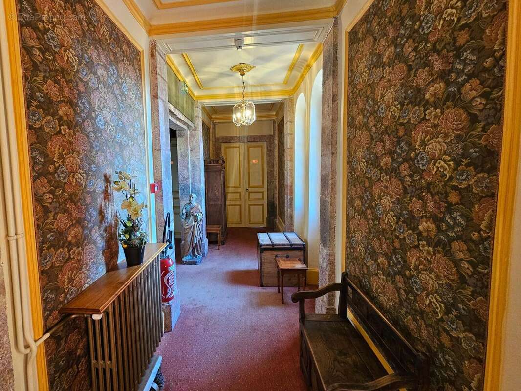 Photo 7 - Commerce à SAINT-ALBAN-SUR-LIMAGNOLE