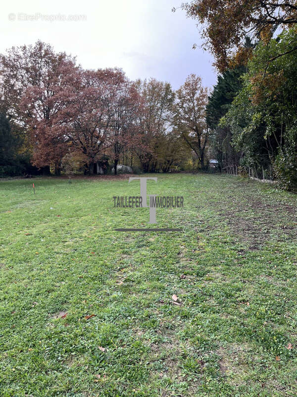 Terrain à ANTONNE-ET-TRIGONANT