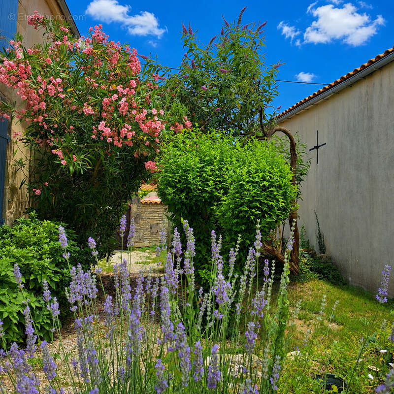 Propriété de caractère   260 m2 - Charme et élégance à Vouhé - photo 14