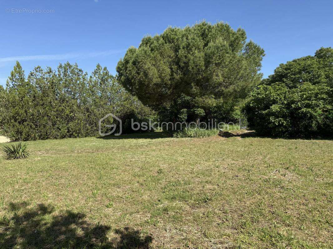 Terrain libre constructeur 537 m² - photo 2
