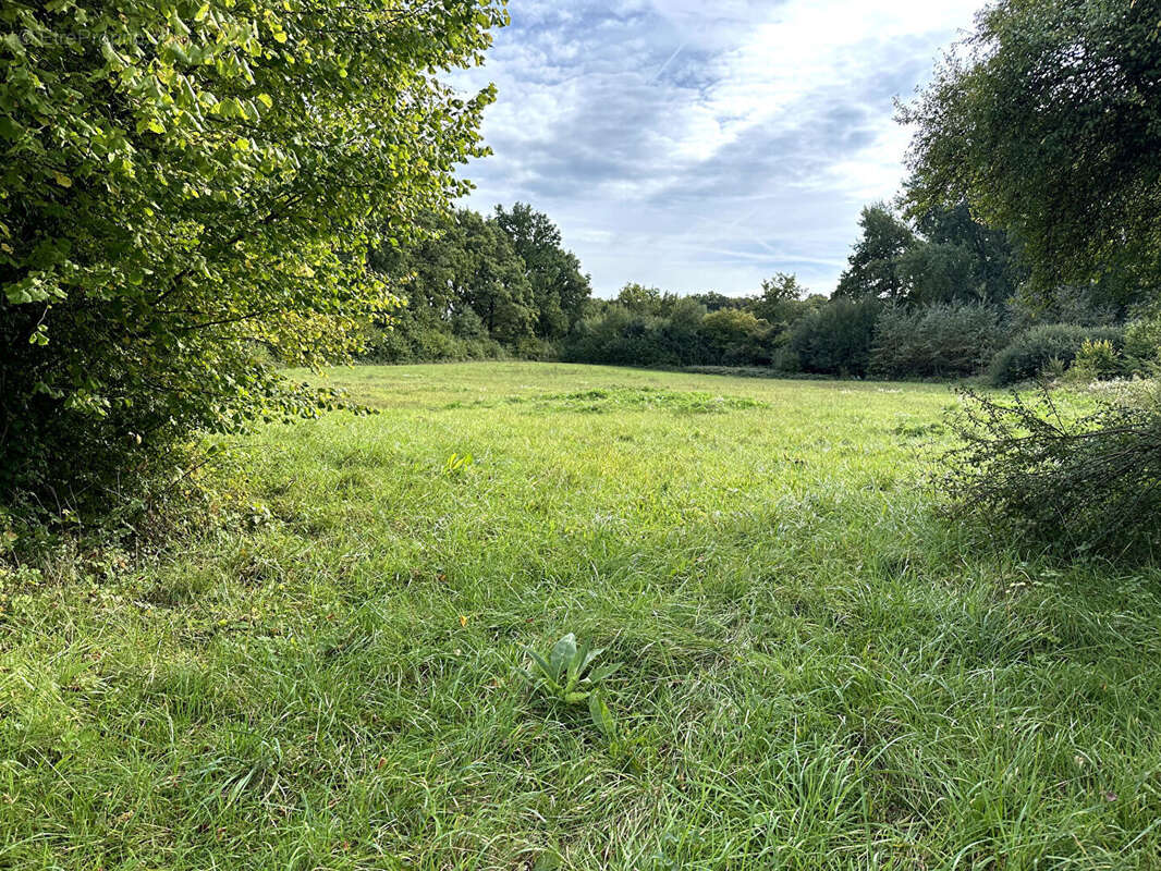 Maison à COUCY-LE-CHATEAU-AUFFRIQUE