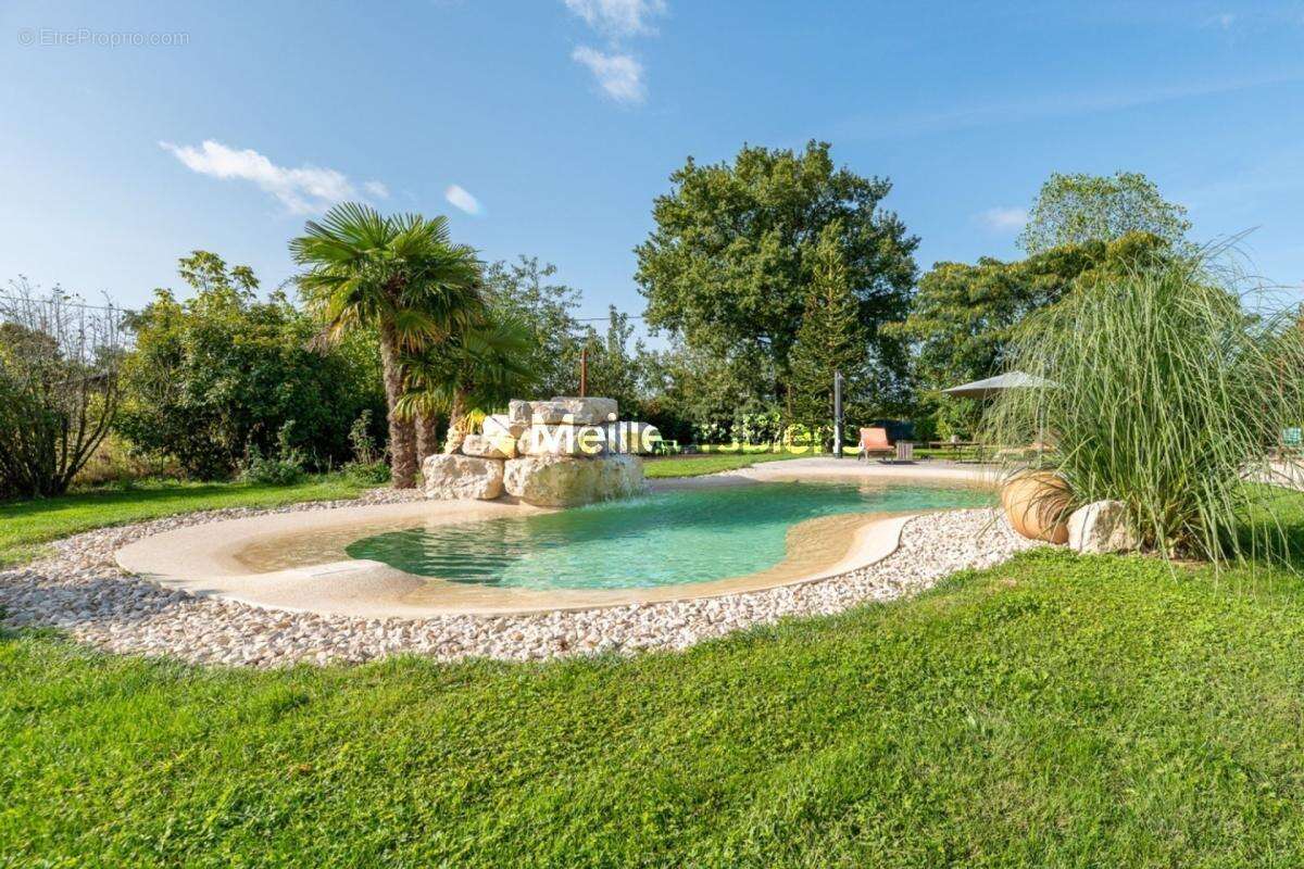Maison bressane 327m² à Sulignat, terrain 4863m² - photo 23