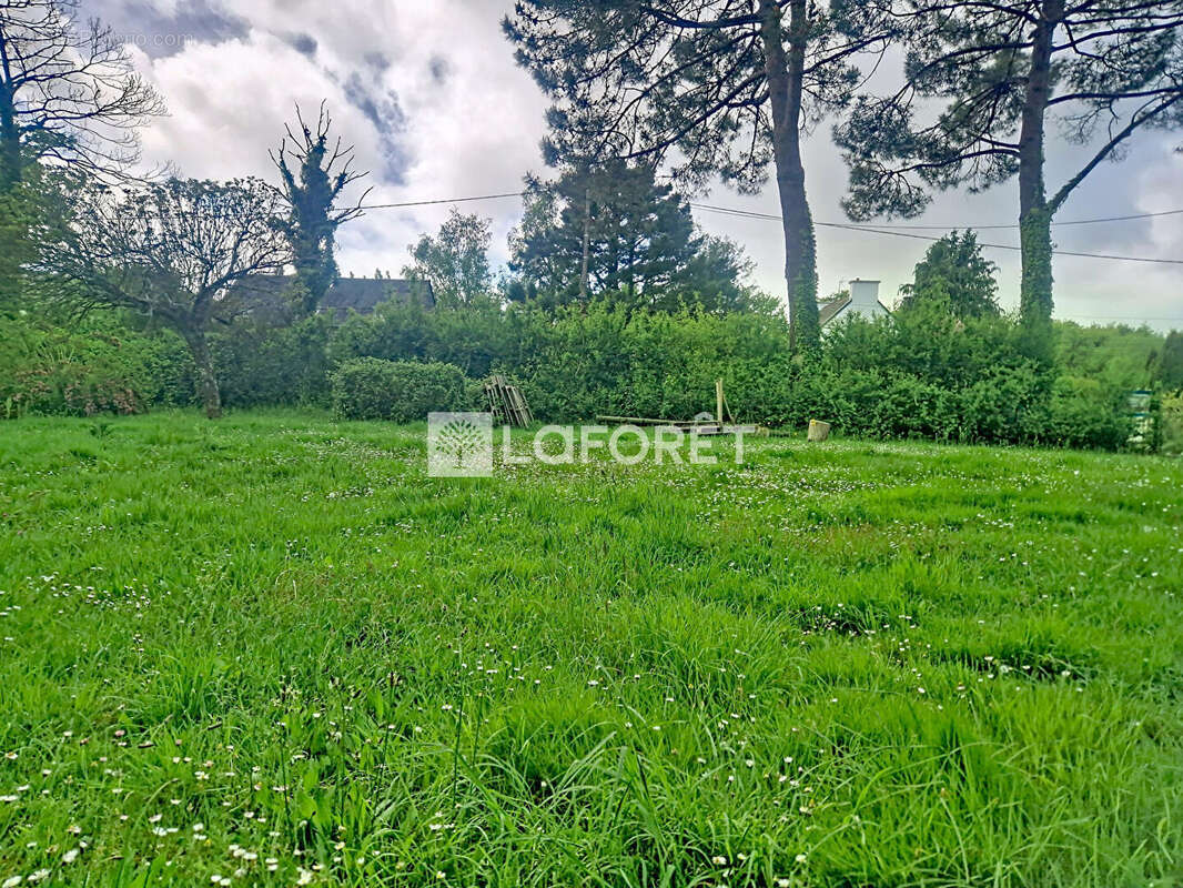 Terrain Surzur 609 m2 - photo 4