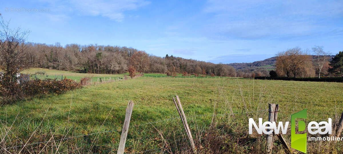 Terrain à SAINT-VIANCE