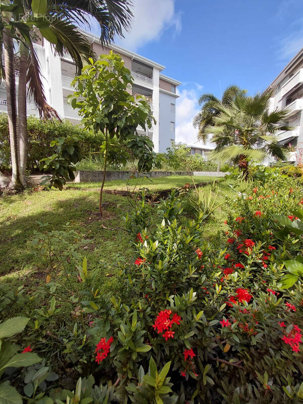 Appartement à SCHOELCHER