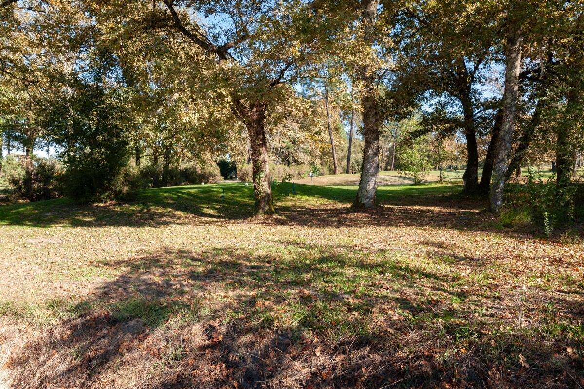 Maison à SAINT-AVIT