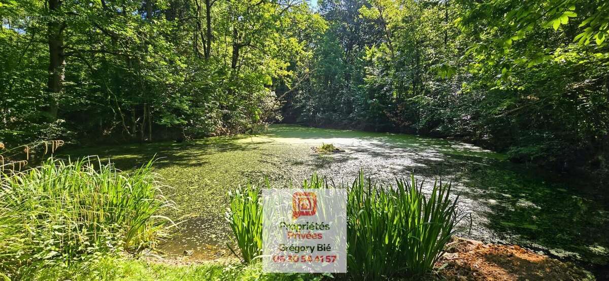 Domaine Forestier 9,6 hectares - photo 2