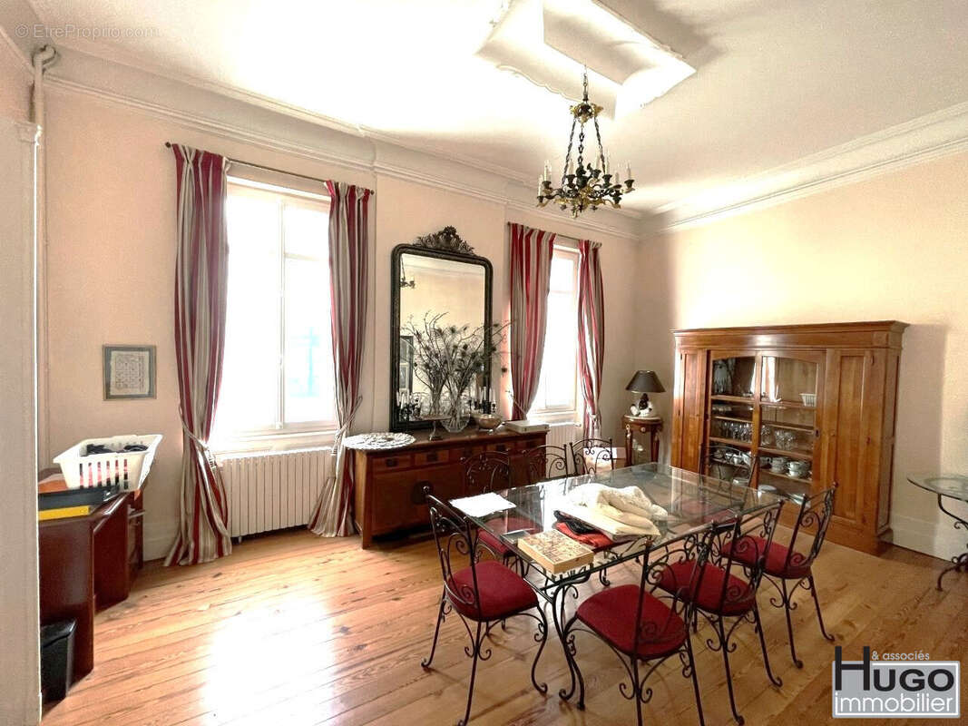 Bordeaux bastide- jardin botanique- ensemble immobilier 2 lots 380m² + cave 100m² + jardin 170m². - photo 6