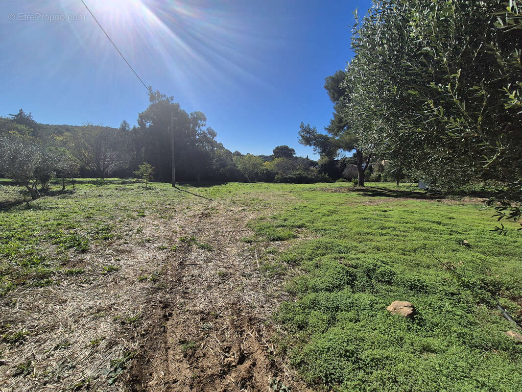 Terrain à LE PRADET