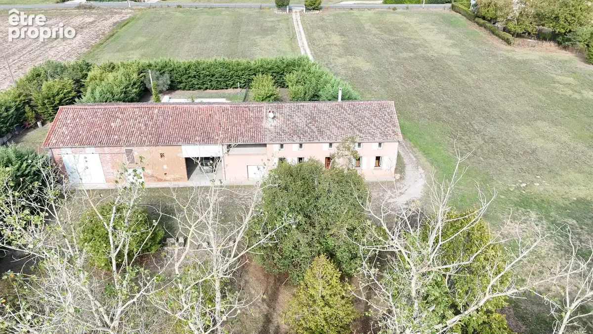 Idéal promoteur,10 minutes de Fronton, ferme avec piscine et dépendances !!!  4660 m² de terrain ! - photo 3