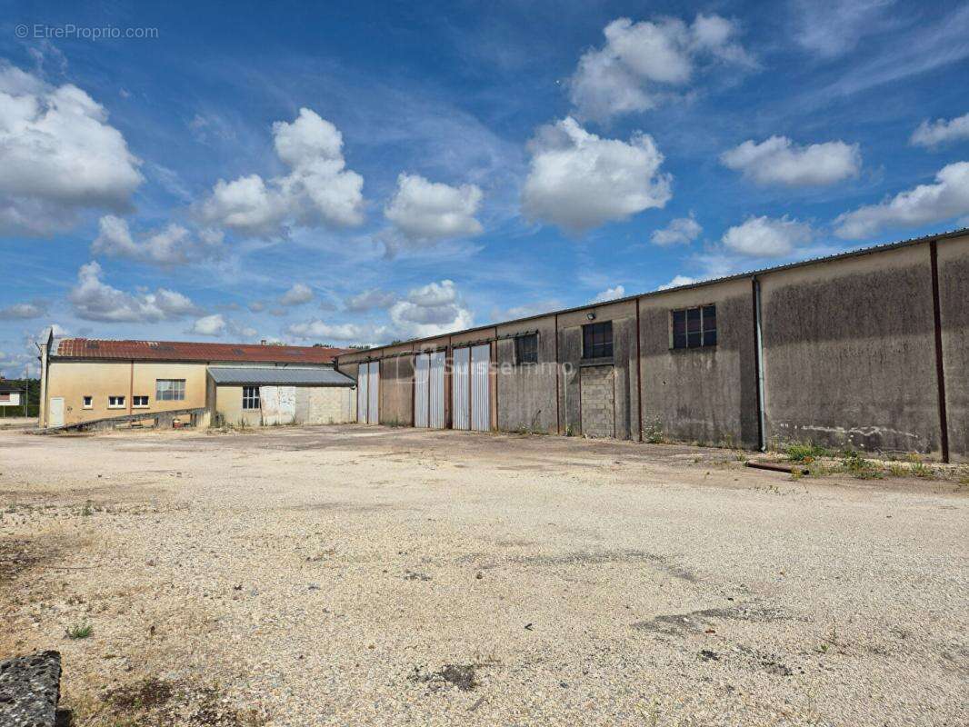 Bâtiment Industriel avec bureaux  et hangars de 2200 m2 + Maison de 250 m2 sur 12000 m2 de Terrain - photo 2