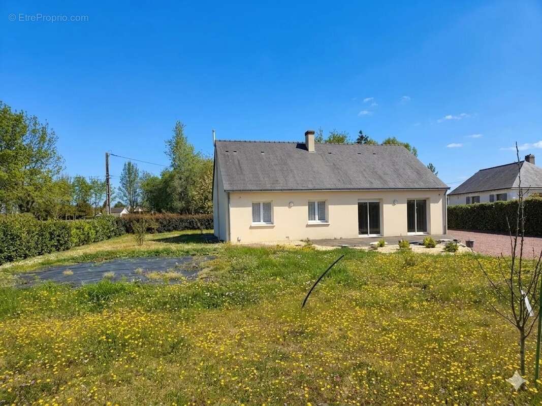 Maison à BRAIN-SUR-ALLONNES