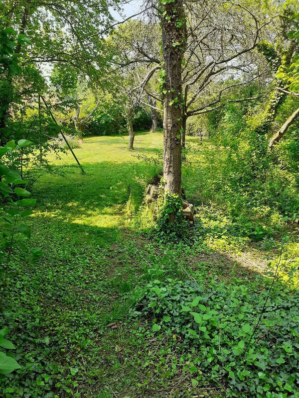 Maison à LA FERTE-GAUCHER