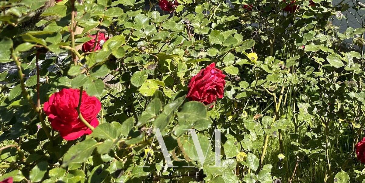 Maison à ANDERNOS-LES-BAINS
