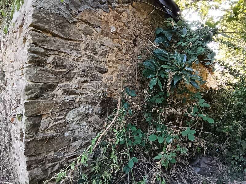 Terrain de loisirs de 2 300 m2  avec ancienne dépendance – Zone agricole – Crédin - photo 3