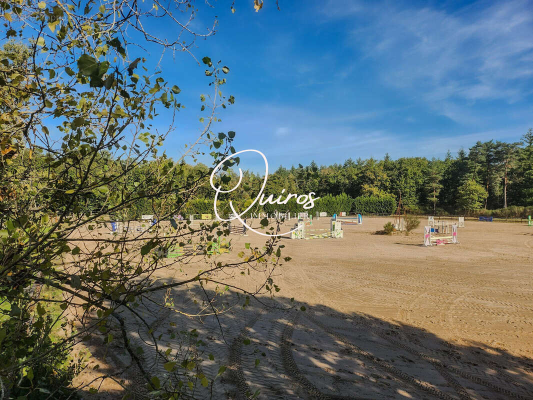 chemin d&#039;accès - Maison à LAMOTTE-BEUVRON