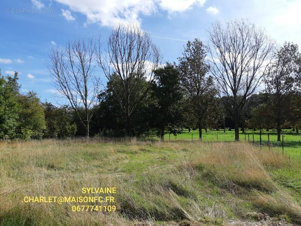 Terrain à GIVENCHY-EN-GOHELLE