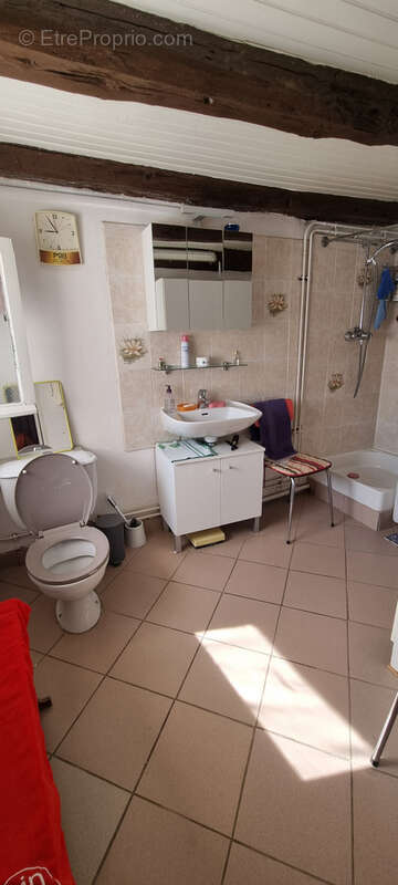 Nouveauté ! - photo 10
