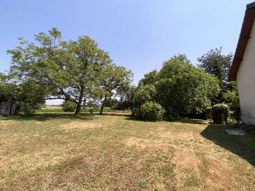 Ferme 10 hectares Monein - photo 29