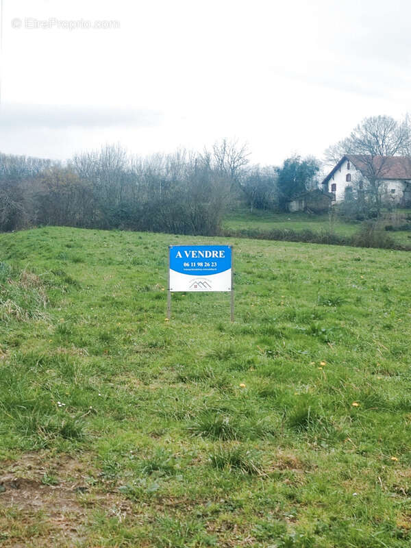 Terrain à SAINT-PALAIS