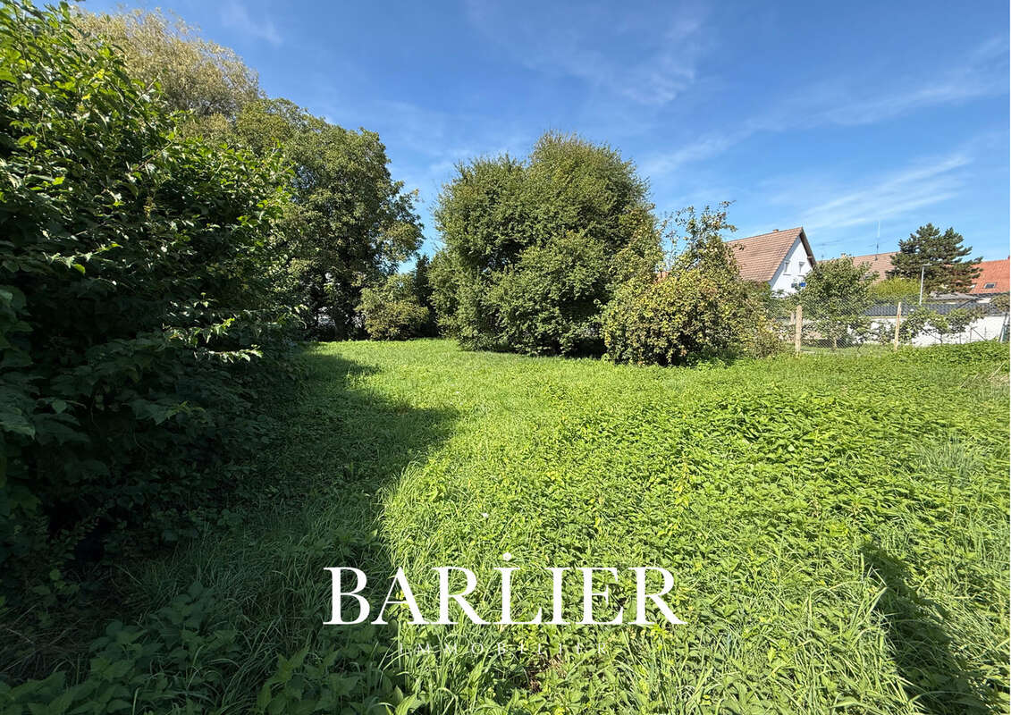 Terrain à GEISPOLSHEIM