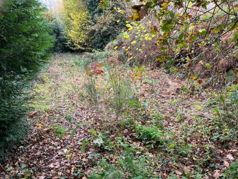 Maison à SAINT-CARREUC