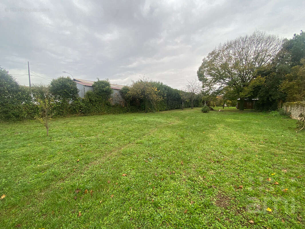 Terrain à NIORT