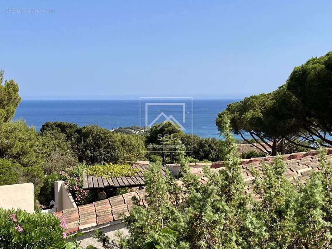 Appartement 2 chambres, vue mer et montagne, plage à pied, Santa Giulia - photo 7