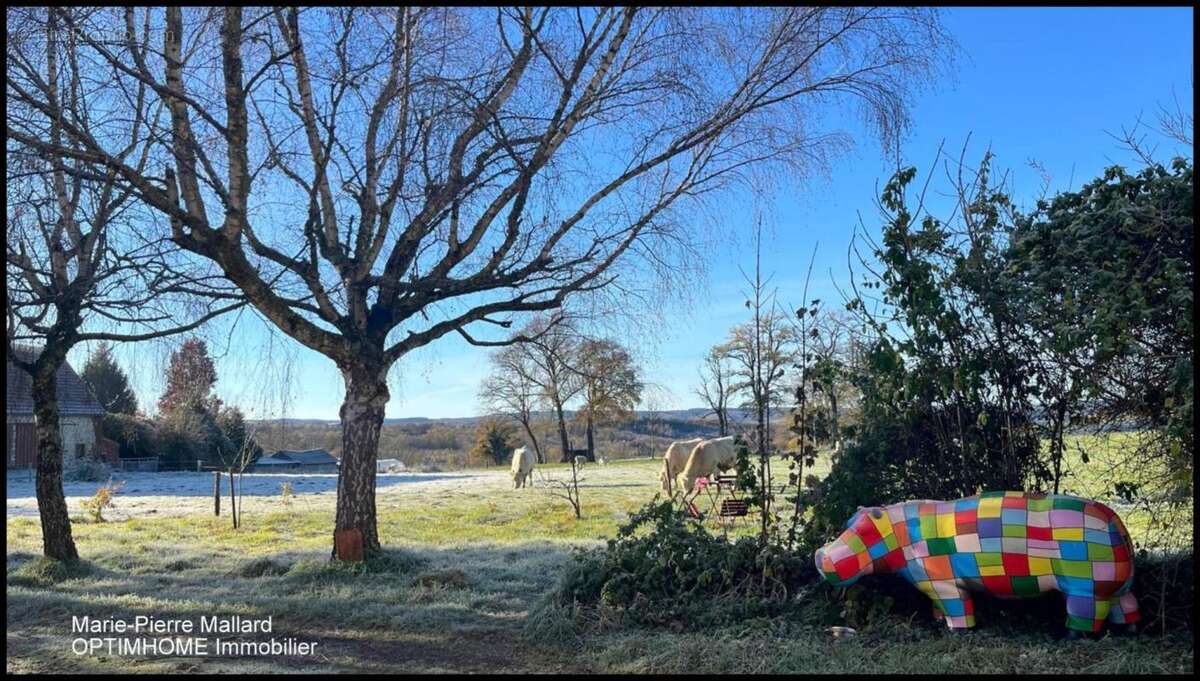 Propriété de 10 pièces à VALLIERES (23) - photo 20