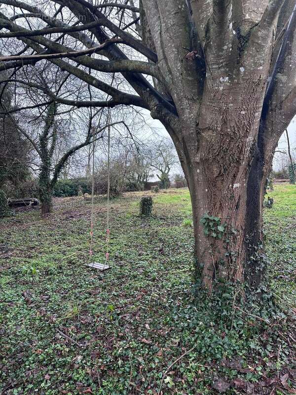 Photo 5 - Terrain à CHATEAU-GONTIER