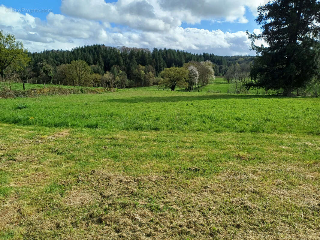 Grange avec parcelle constructible - photo 3