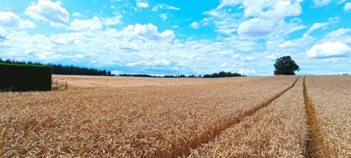 Photo 1 - Terrain à BON-ENCONTRE