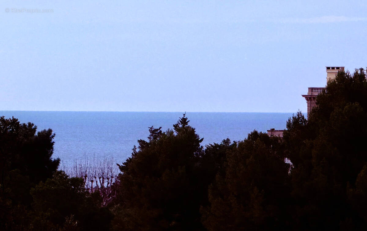 Appartement à MARSEILLE-8E