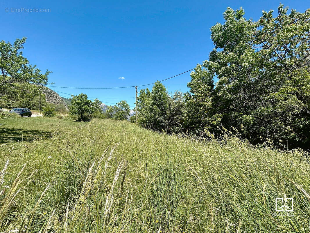 Terrain à SAINT-MARTIN-DE-QUEYRIERES