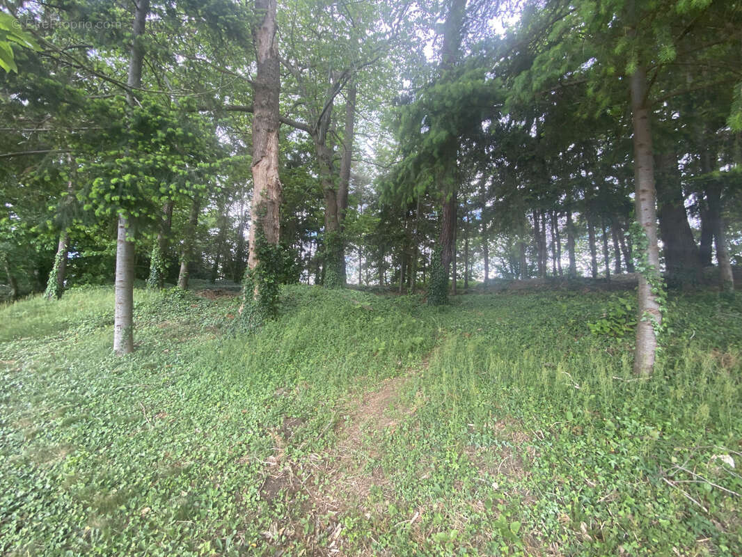 Maison à MONTREUIL-DES-LANDES