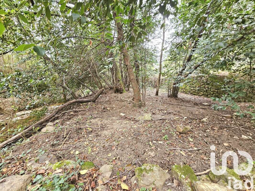 Photo 2 - Terrain à BRANOUX-LES-TAILLADES