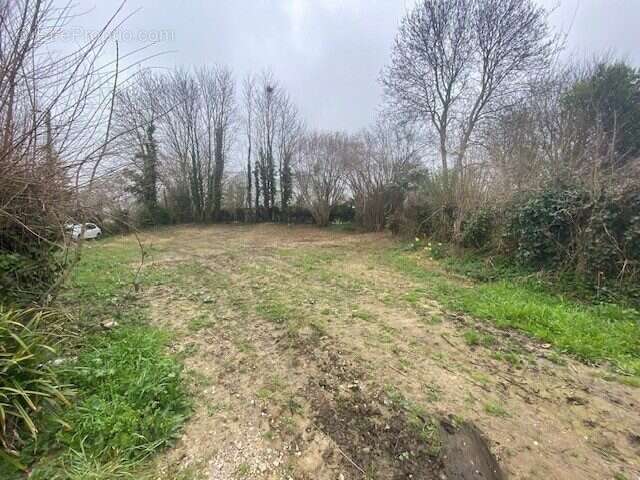 Terrain à MEZIDON-CANON