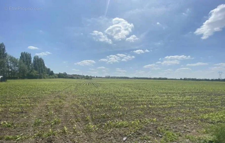 Terrain à PHALEMPIN