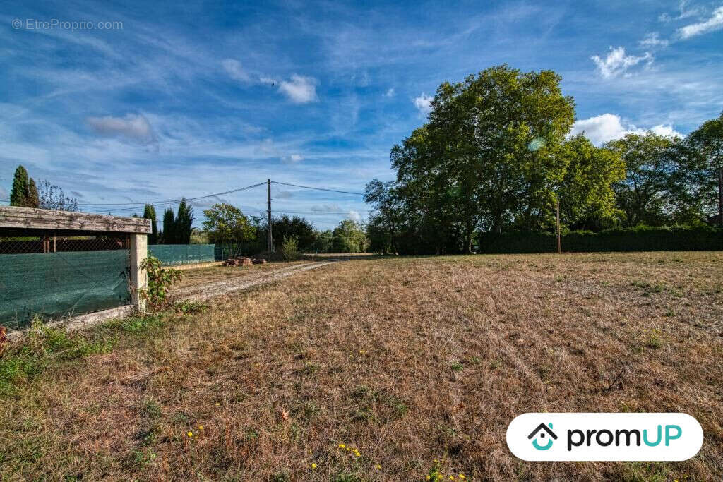 Terrain à CINTEGABELLE