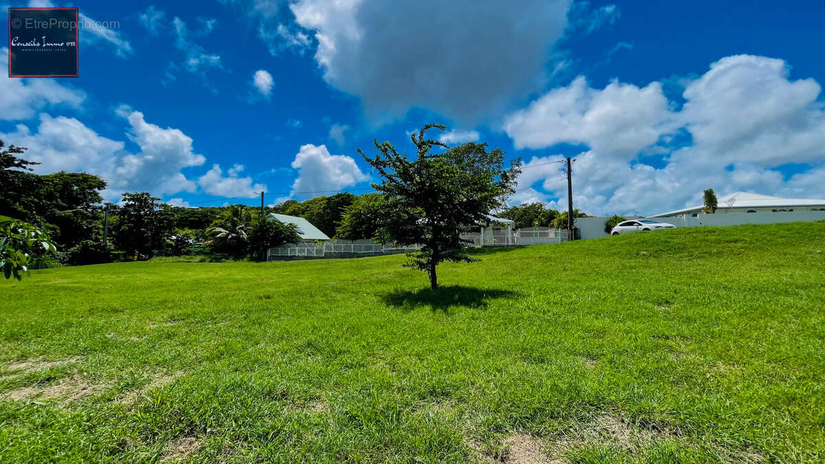 Terrain de 1 090 m2 à vendre - Sainte-Anne - photo 2