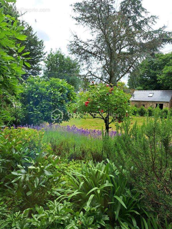Maison 75 m² à Berrien  - photo 11