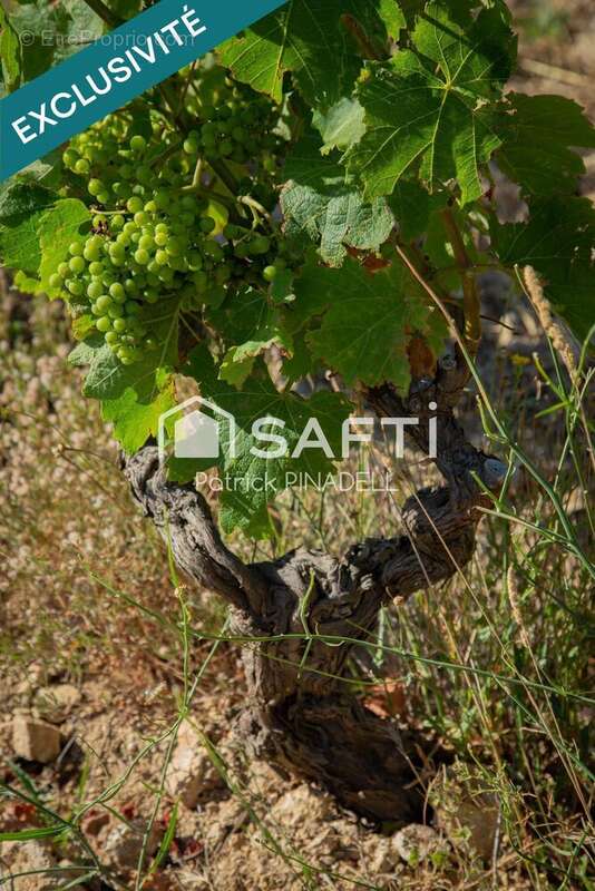 Photo 5 - Appartement à LATOUR-DE-FRANCE