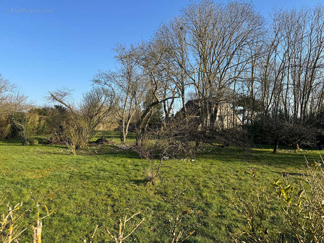 Terrain à FEUCHEROLLES