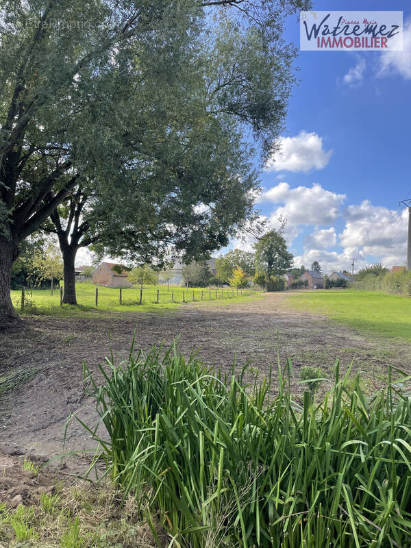 Terrain à LE QUESNOY