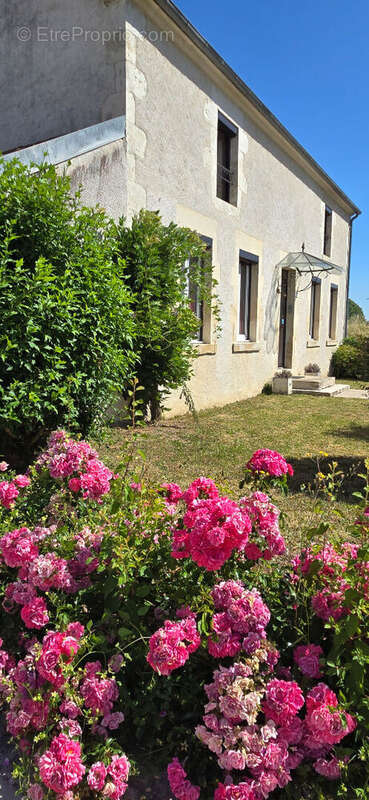 Maison de caractère 5 chambres avec dépendances et grand terrain - photo 17