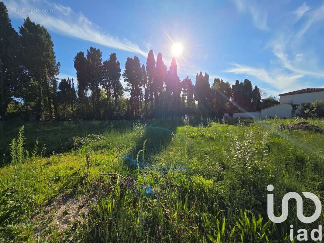Photo 3 - Terrain à SAINT-REMY-DE-PROVENCE