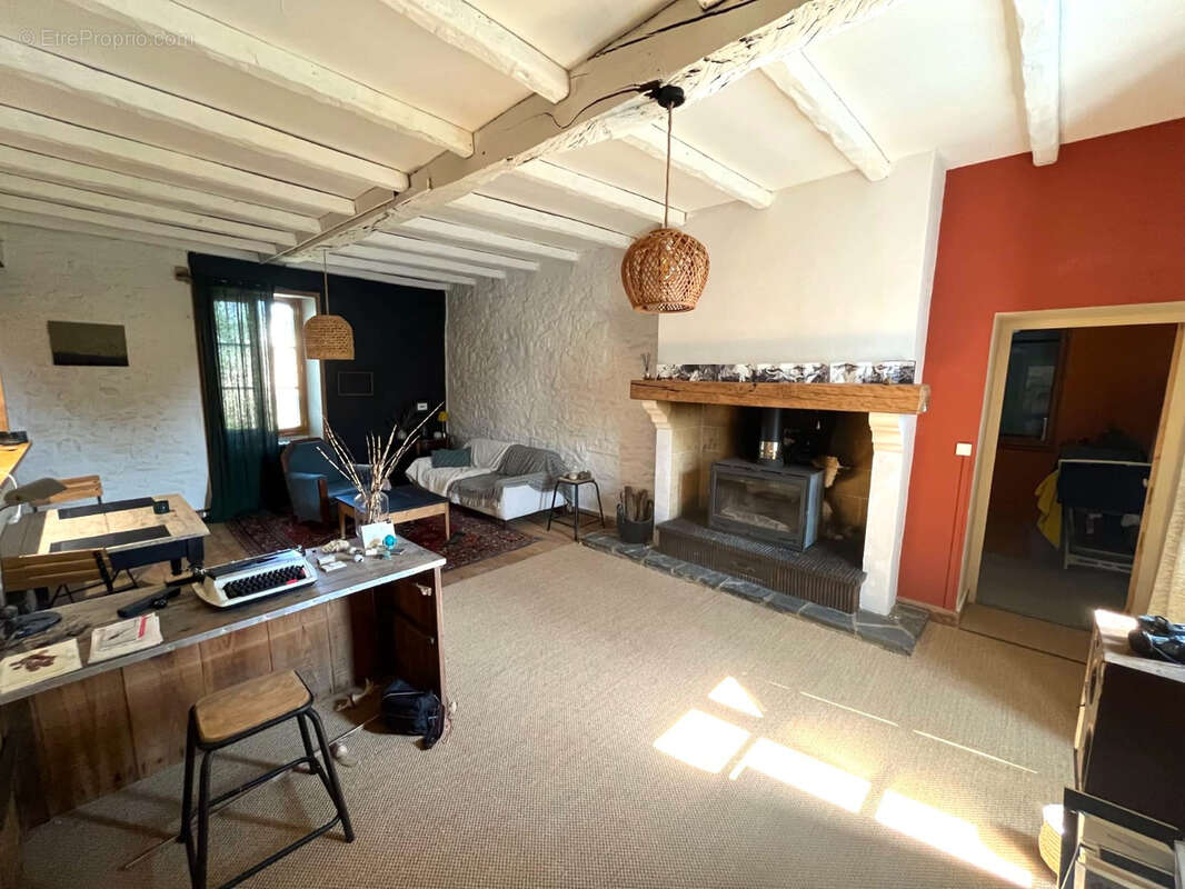 Maison de bourg rénovée avec grand jardin arboré - photo 7