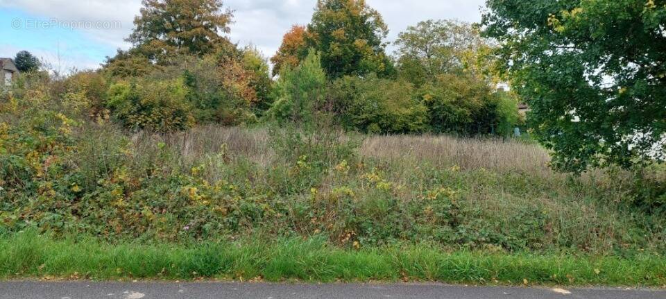 Terrain à EGREVILLE