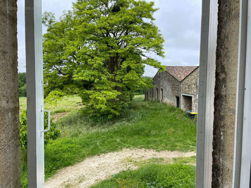Propriété avec 2 maisons rénovées, une maison à rénover et grandes dépendances - photo 11