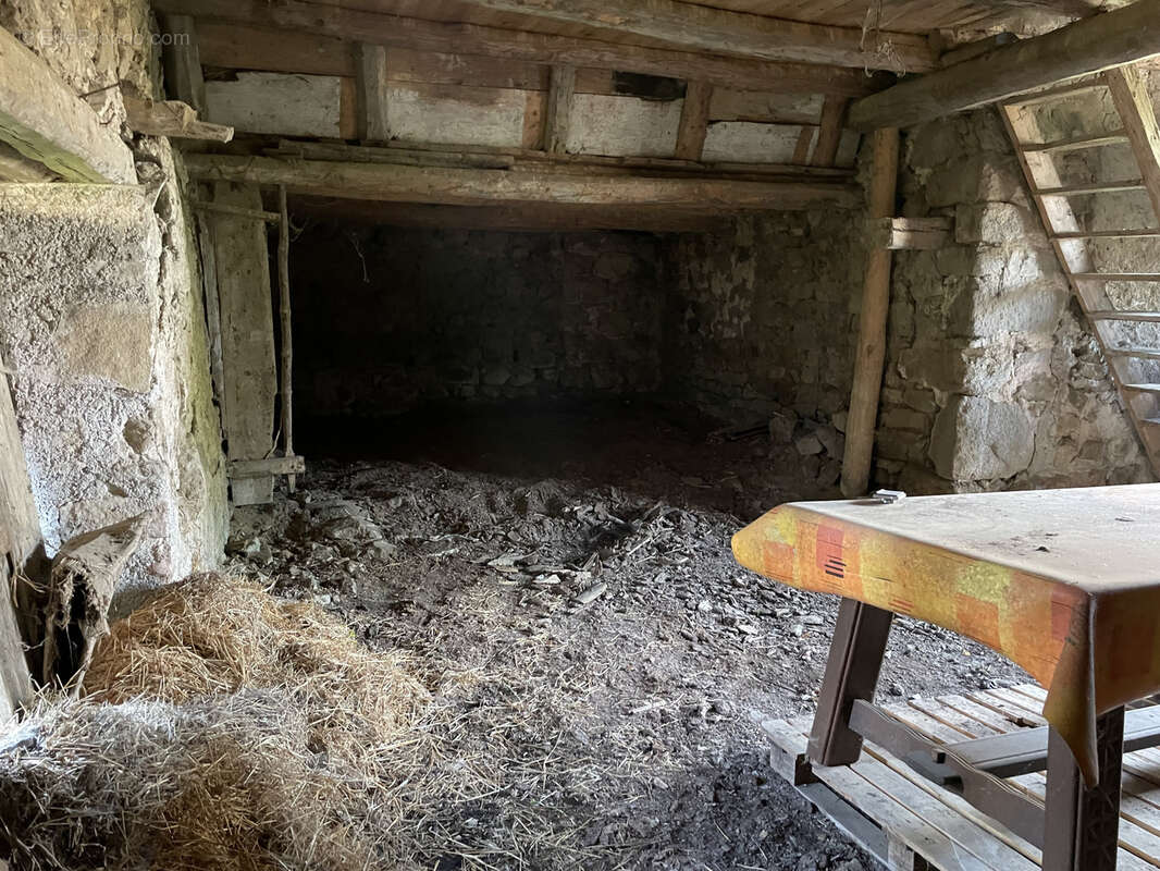 Maison en pierre avec exterieur - photo 8